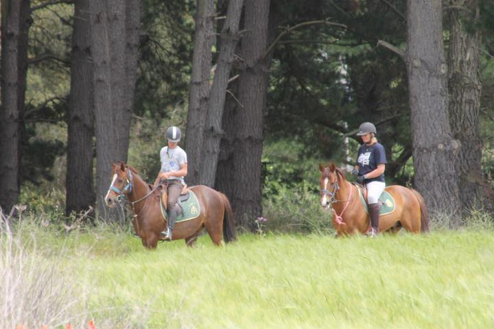 圣塔克里斯蒂纳阿鲁 Residential Horse Club Costa Brava旅舍 外观 照片